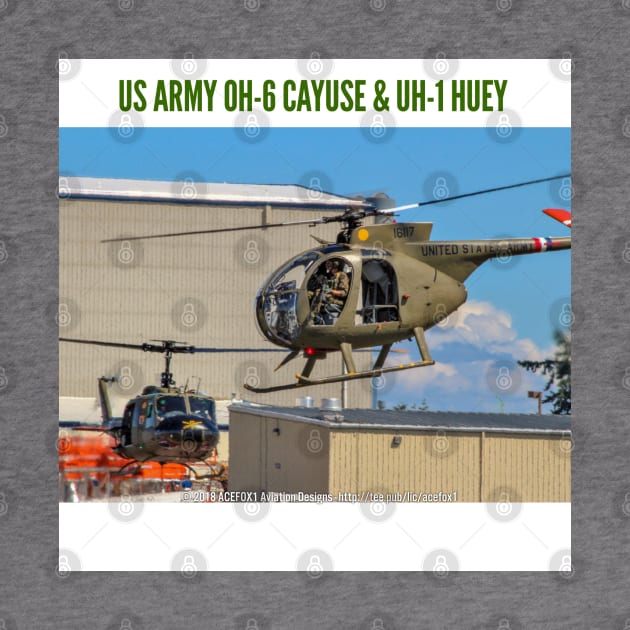 US Army OH-6 Cayuse and UH-1 Huey by acefox1